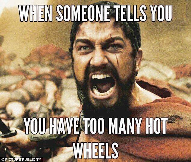 When someone tells you, you have too many Hot Wheels.