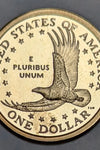 2007-S PROOF SACAGEWEA DOLLAR
