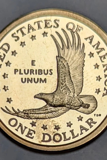 2007-S PROOF SACAGEWEA DOLLAR