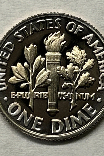 1982-S CLAD PROOF ROOSEVELT DIME
